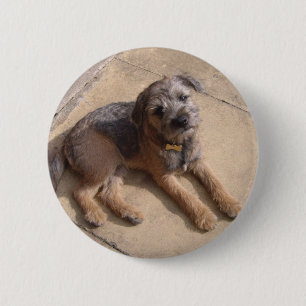 GrenzTerrier-Welpe Button