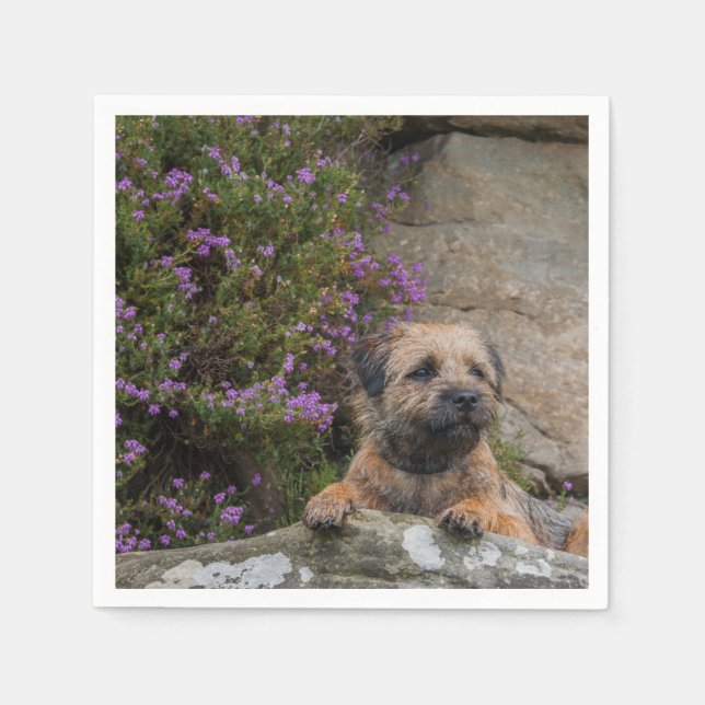 GRENZTERRIERENpapier Napkins Serviette (Vorderseite)
