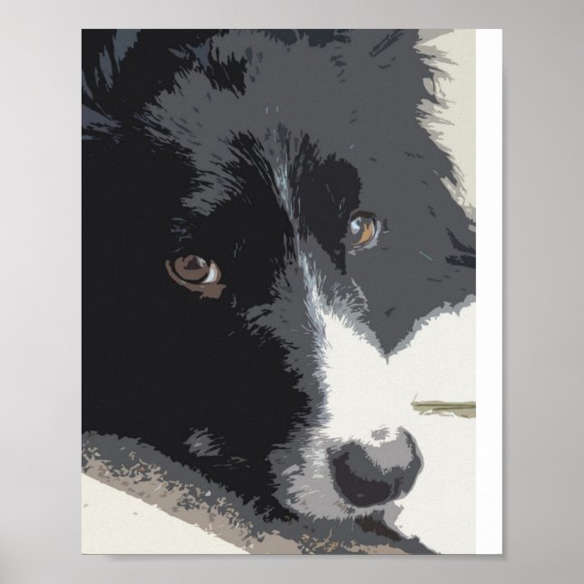 Grenzwurmportrait Poster (Vorne)