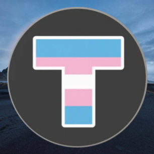 Grès Capitale de la fierté trans T Dessous de verre en 