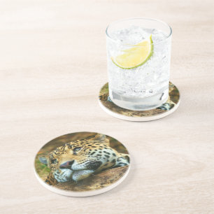 Grès Dessous de verre en pierre léopard