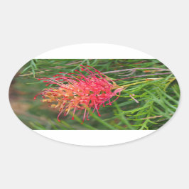 Grevillea Blume Aufkleber