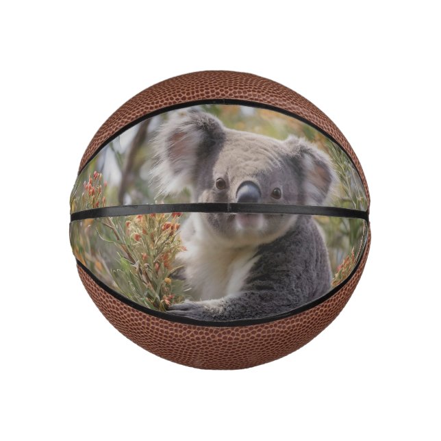 Grevillea Koala Bear, Mini Basketball (Vorderseite)