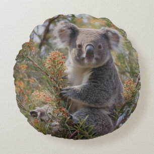 Grevillea Koala Bear, Rundes Kissen