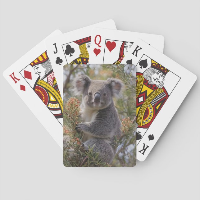Grevillea Koala Bear, Spielkarten (Rückseite)
