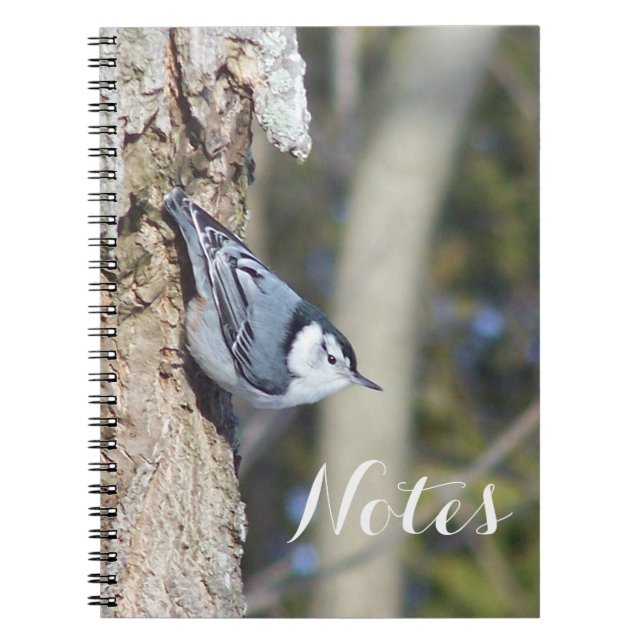 Grey and white nuthath bird notizblock (Vorderseite)
