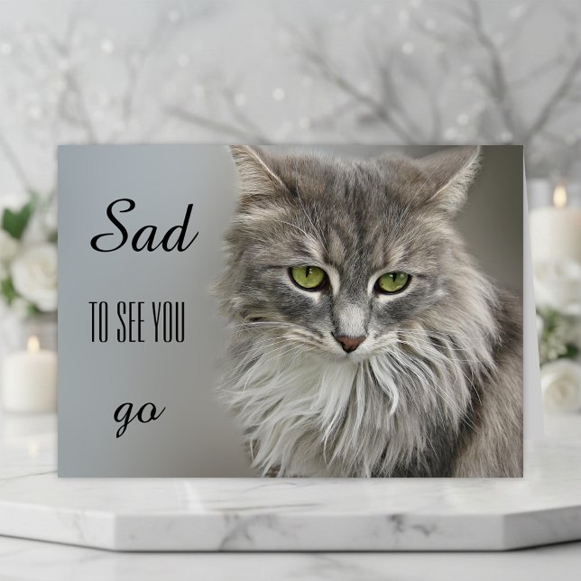 Grey Cat Beileid Grußkarte Karte (A beautiful cat sympathy card to express your compassion for the loss of a sweet kitty)