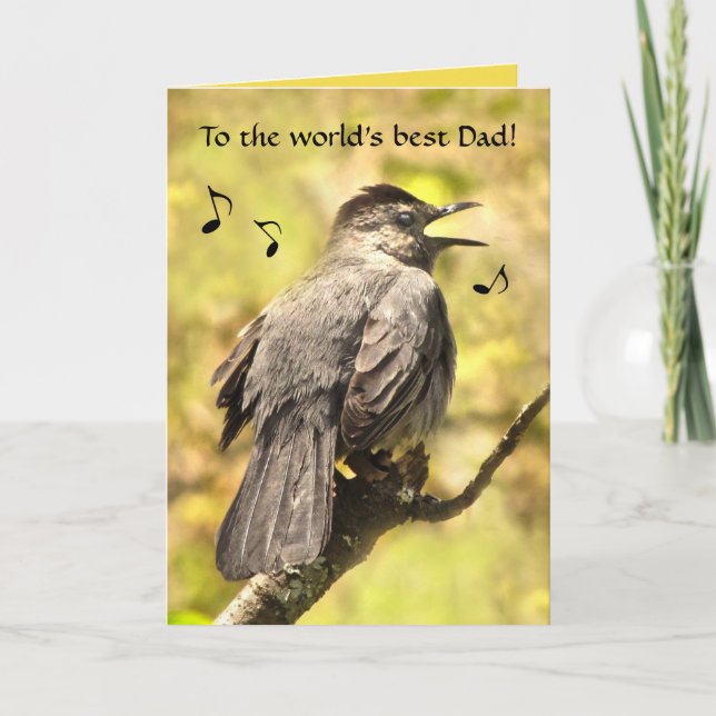 Grey Catbird chante une carte de Fête des pères (Devant)