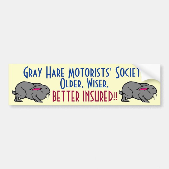 Grey Hare Motorists' Autoaufkleber (Vorne)