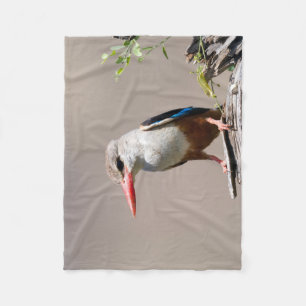 Grey-Headed Kingfisher Fleecedecke
