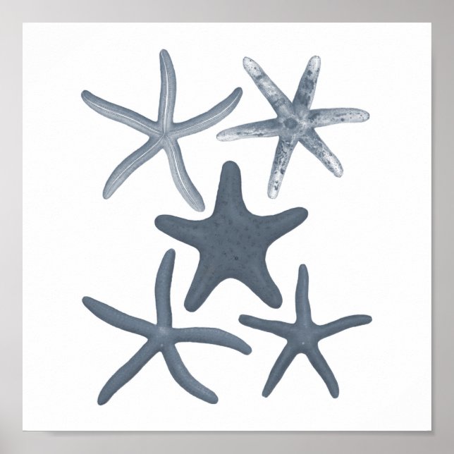 Grey Meereswelt Group12A Print #3 Starfish Poster (Vorne)