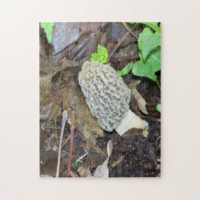 Grey Morel Mushroom (Vertikal)