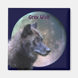 Grey Wolf & Full Moon Wildlife Collection Magnet