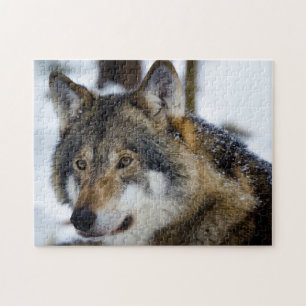 Grey Wolf, Jigsaw Puzzle