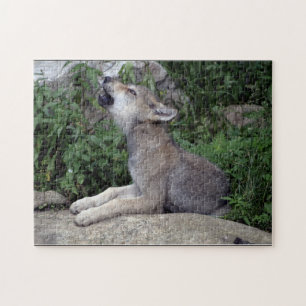 Grey Wolf Pup Wild Animal Puzzle