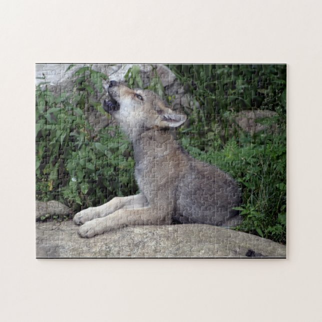 Grey Wolf Pup Wild Animal Puzzle (Horizontal)