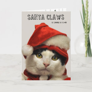 Greyfoot Cat Rescue Santa Claws Holiday Card Feiertagskarte