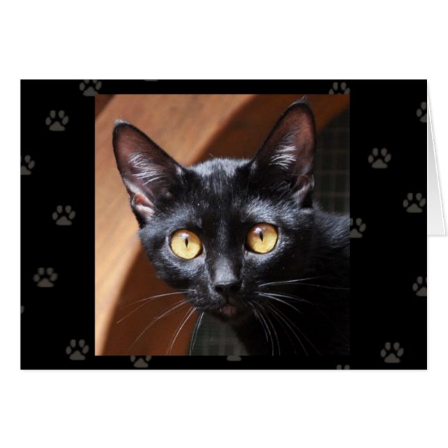 Greyfoot Katzen-Rettungs-Bombay-Katzen-Karte (Vorderseite (Horizontal))