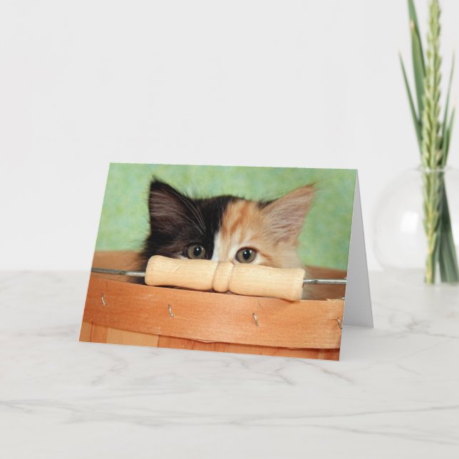 Greyfoot Katzen-Rettungs-Kaliko-Kätzchen-Karte Karte (Vorderseite)