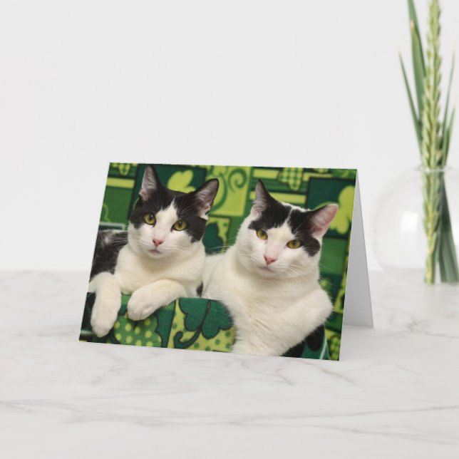 Greyfoot Katzen-Rettungs-schwarze u. weiße Karte (Vorderseite)