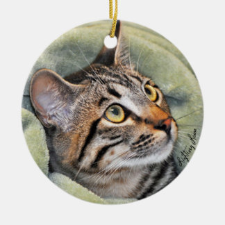 Greyfoot Katzen-Rettungs-silbernes Keramikornament