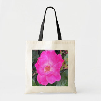 Greyforaday Lila Tasche