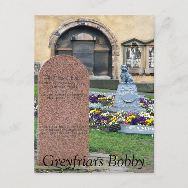 Greyfriars Bobby, Edinburgh Postkarte (Vorderseite)