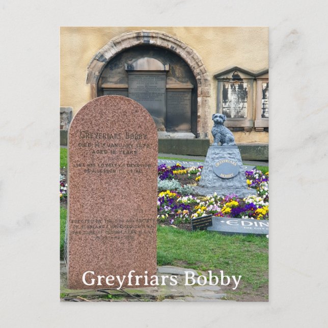 Greyfriars Bobby, Edinburgh Postkarte (Vorderseite)