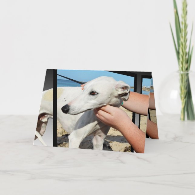 Greyhound 3D Effet Carte de voeux Anniversaire (Devant)