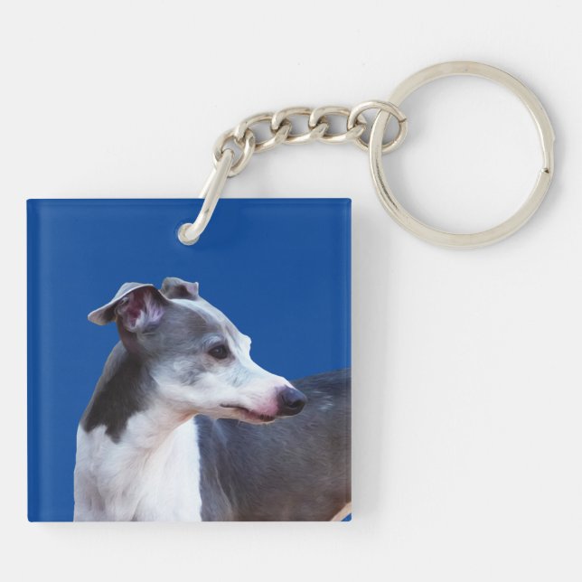 Greyhound AL (Dos)