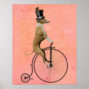 Greyhound auf Black Penny Farthing Poster