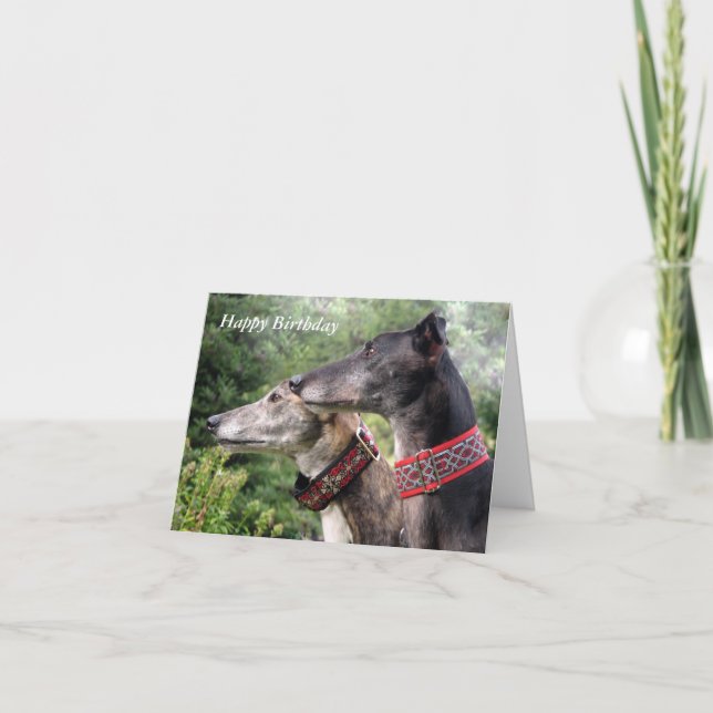 Greyhound birthday card (p338) karte (Vorderseite)