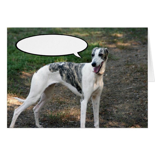 Greyhound Dog (Vorderseite (Horizontal))