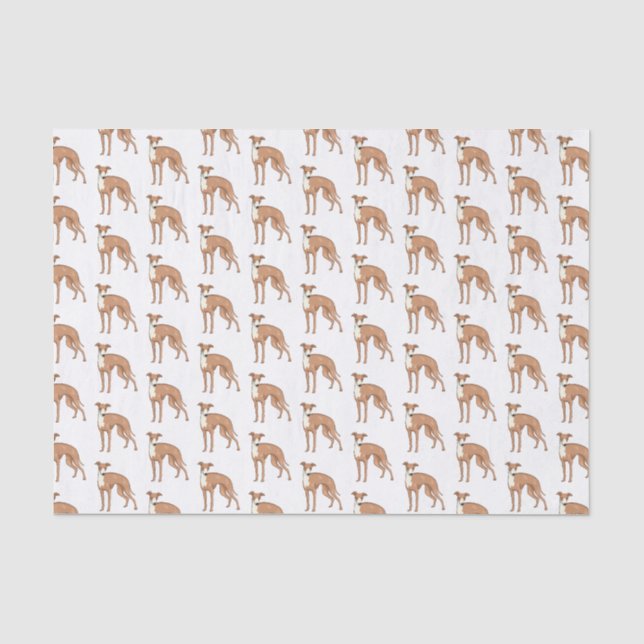 Greyhound dog cartoon illustration seidenpapier (Vorderseite)