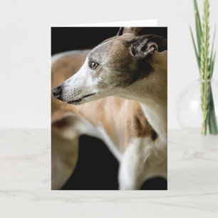 Greyhound Dog Grußkarte Karte