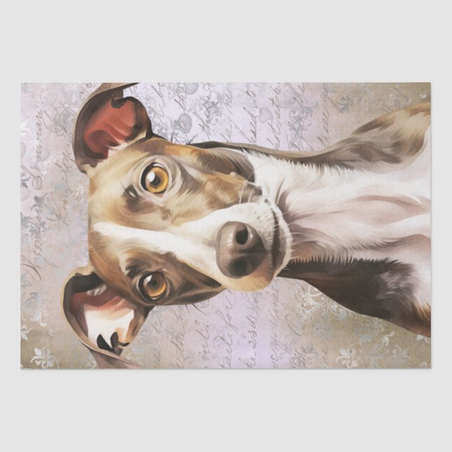 Greyhound Dog Seidenpapier (Vorderseite)