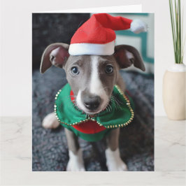 Greyhound Elf Puppy Christmas Card Karte