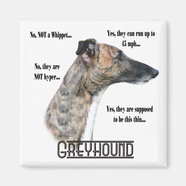 Greyhound FAQ Magnet (Vorne)