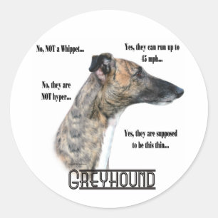 Greyhound FAQ Sicker Runder Aufkleber