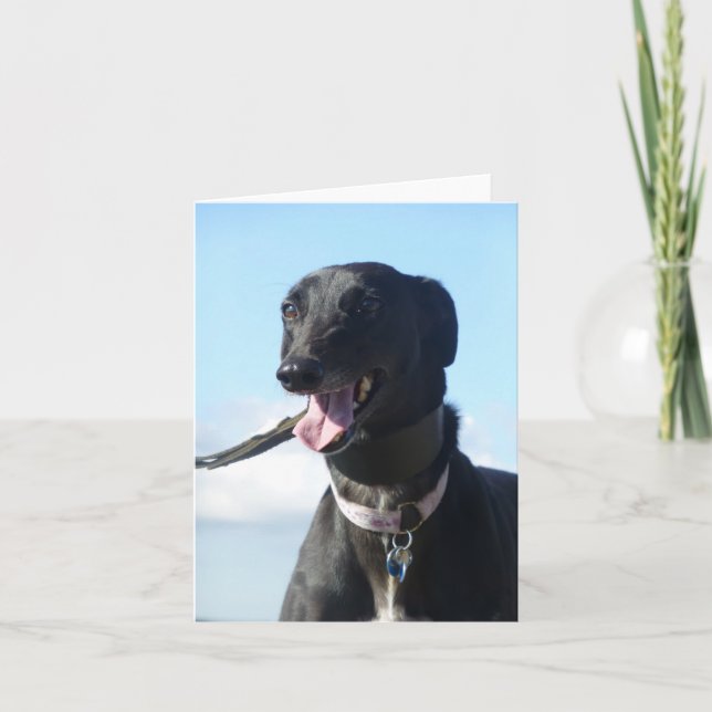 Greyhound-Fotokarte (p11) Karte (Vorderseite)