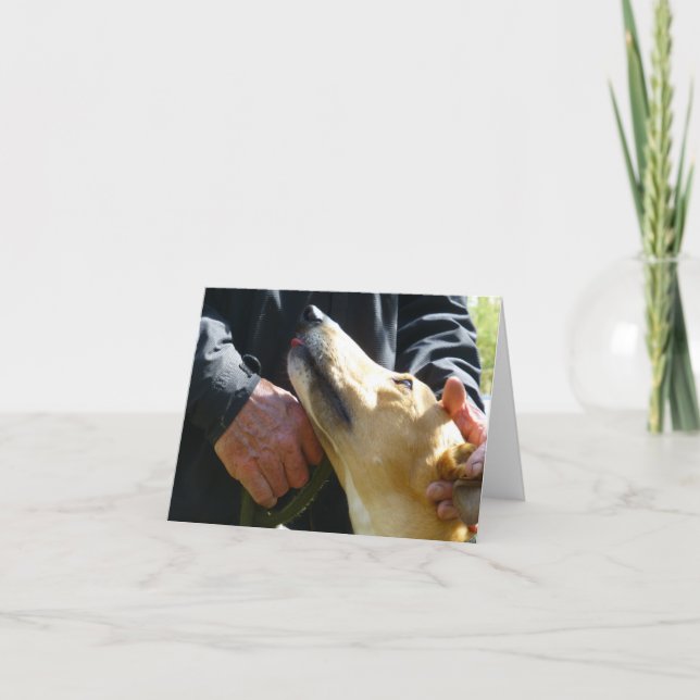 Greyhound-Fotokarte (p284) Karte (Vorderseite)