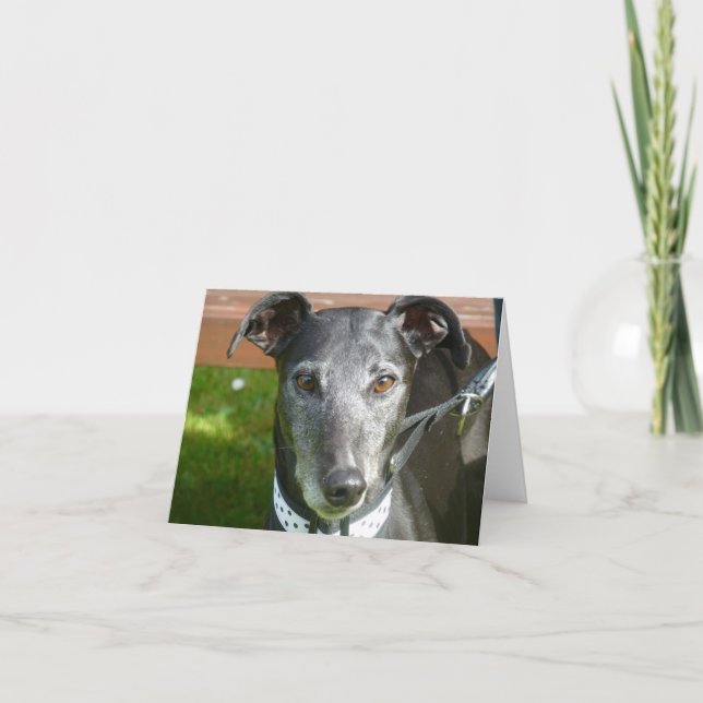 Greyhound-Fotokarte (p4) Karte (Vorderseite)