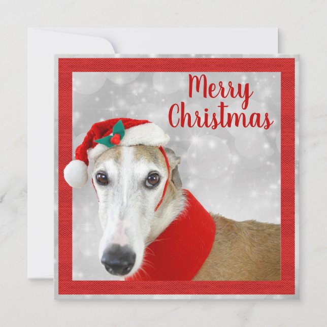 Greyhound Frohe Weihnachten (Vorderseite)