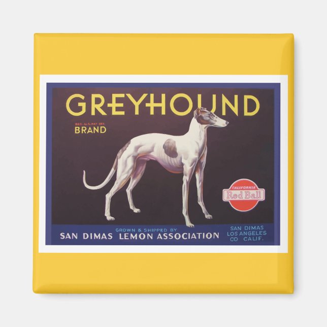 Greyhound Fruchtkäfigkennzeichnung Magnet (Vorne)