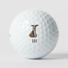 Greyhound Golfball