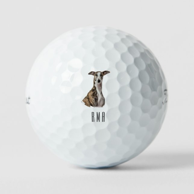 Greyhound Golfball (Vorderseite)