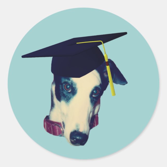 Greyhound Graduation Cap Funny Runder Aufkleber (Vorderseite)