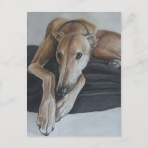 Greyhound Hund Art Postkarte