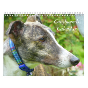Greyhound Kalender