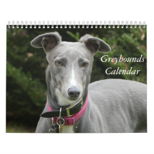 Greyhound Kalender